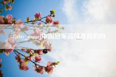 玉环中国冠军品牌是真的吗