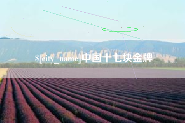 玉环中国十七块金牌
