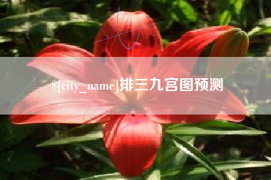 玉环排三九宫图预测