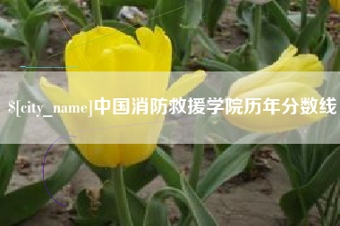 玉环中国消防救援学院历年分数线