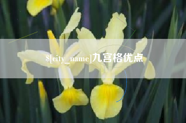 玉环九宫格优点