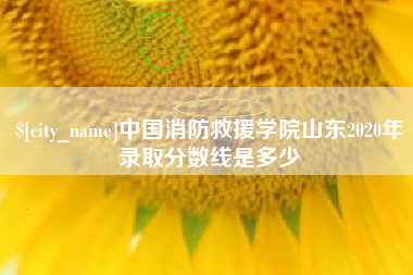 玉环中国消防救援学院山东2020年录取分数线是多少