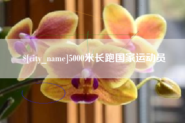 玉环5000米长跑国家运动员