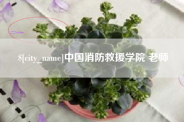 玉环中国消防救援学院 老师