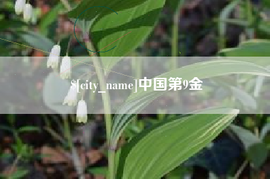 玉环中国第9金