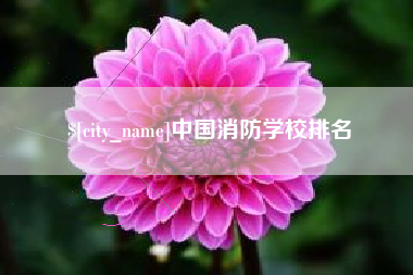 玉环中国消防学校排名