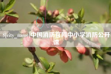 玉环中国消防官网中小学消防公开课