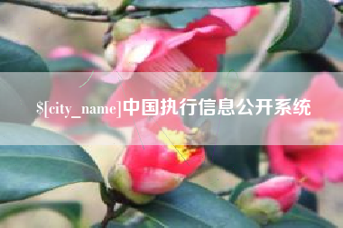 玉环中国执行信息公开系统