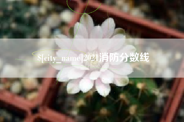 玉环2021消防分数线
