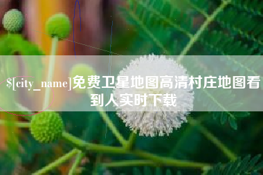 玉环免费卫星地图高清村庄地图看到人实时下载