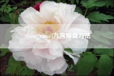 玉环九宫排盘方法