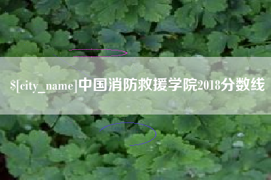 玉环中国消防救援学院2018分数线