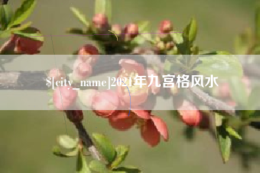 玉环2021年九宫格风水