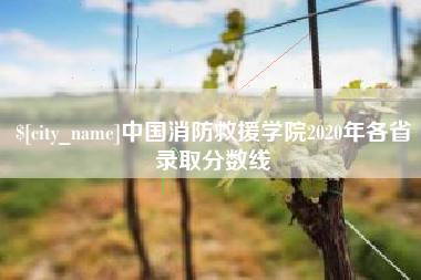 玉环中国消防救援学院2020年各省录取分数线
