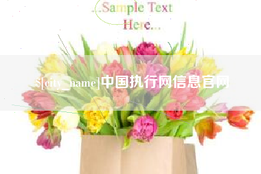 玉环中国执行网信息官网