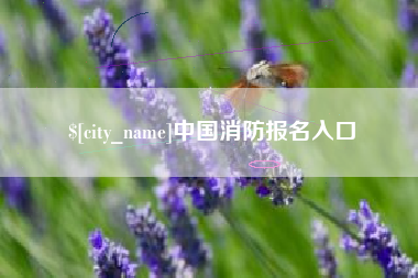 玉环中国消防报名入口