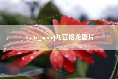 玉环九宫格龙图片