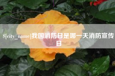 玉环我国消防日是哪一天消防宣传日