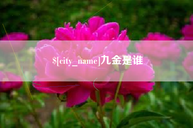 玉环九金是谁