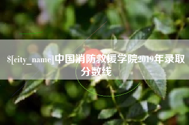 玉环中国消防救援学院2019年录取分数线