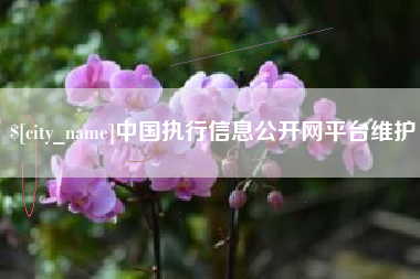 玉环中国执行信息公开网平台维护