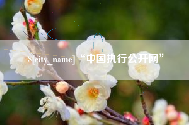 玉环“中国执行公开网”