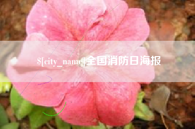 玉环全国消防日海报