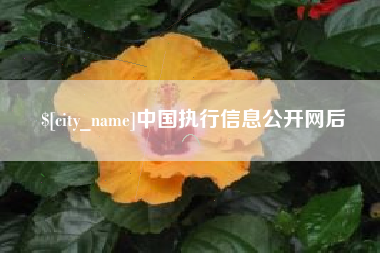 玉环中国执行信息公开网后