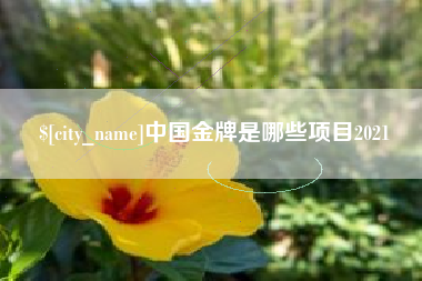 玉环中国金牌是哪些项目2021