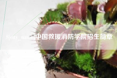 玉环中国救援消防学院招生简章