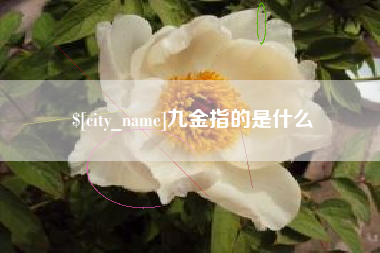 玉环九金指的是什么
