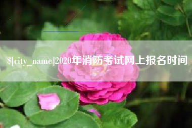 玉环2020年消防考试网上报名时间