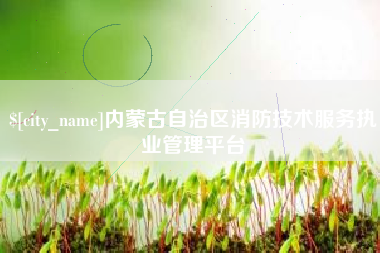 玉环内蒙古自治区消防技术服务执业管理平台