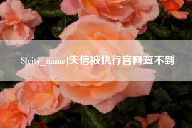 玉环失信被执行官网查不到