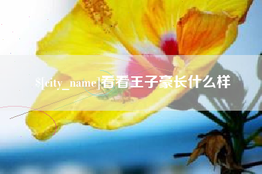玉环看看王子豪长什么样