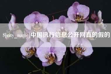 玉环中国执行信息公开网真的假的