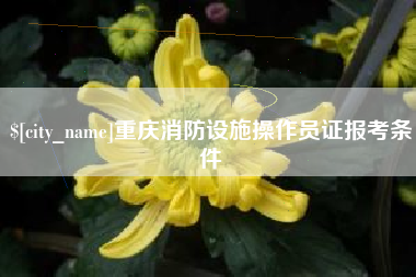 玉环重庆消防设施操作员证报考条件