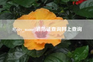 玉环消防证查询网上查询