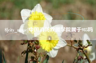 玉环中国消防救援学院属于985吗