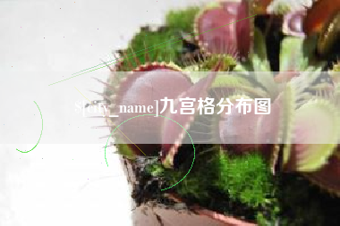 玉环九宫格分布图