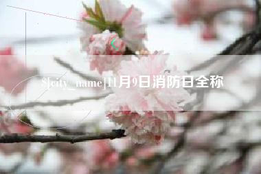 玉环11月9日消防日全称