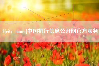 玉环中国执行信息公开网官方服务