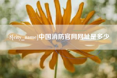 玉环中国消防官网网址是多少