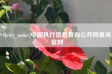 玉环中国执行信息查询公开网查询官网