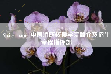 玉环中国消防救援学院简介及招生章程指挥部