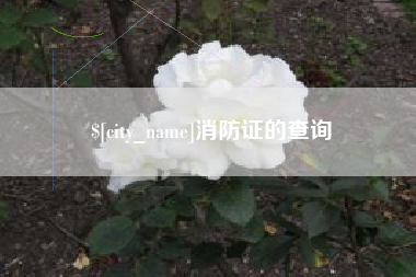 玉环消防证的查询