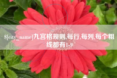 玉环九宫格规则,每行,每列,每个粗线都有1-9