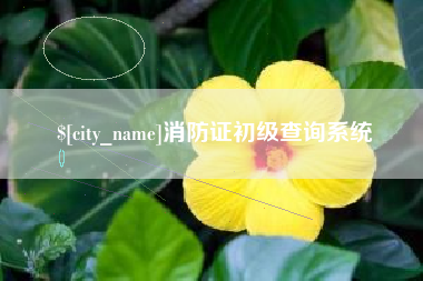 玉环消防证初级查询系统