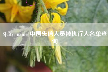 玉环中国失信人员被执行人名单查询