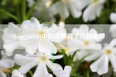 玉环中国金牌得了几枚金牌